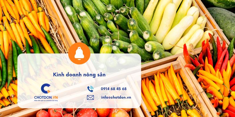 Kinh doanh nông sản sạch: Mẹo tìm nguồn hàng và giữ độ tươi